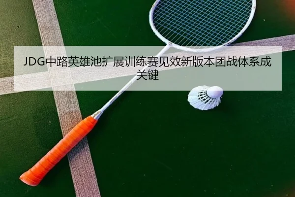 JDG中路英雄池扩展训练赛见效新版本团战体系成关键 - AOASPORTS