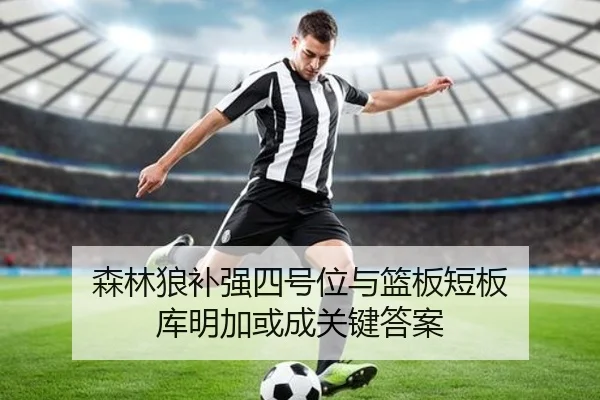 森林狼补强四号位与篮板短板 库明加或成关键答案 - AOASPORTS
