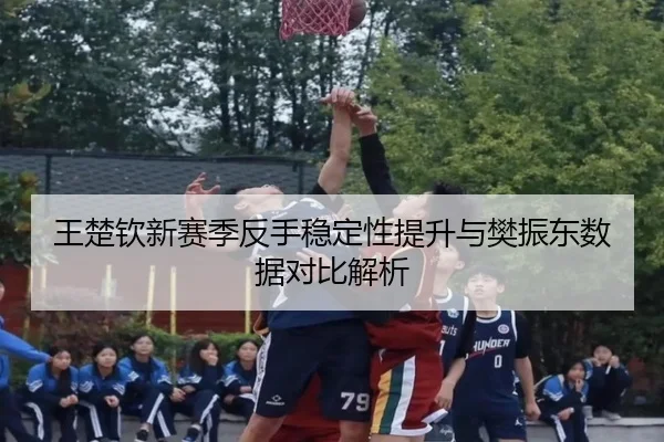 王楚钦新赛季反手稳定性提升与樊振东数据对比解析 - AOASPORTS